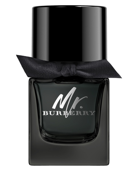 burberry-mr-burberry-eau-de-parfum-spray-edp-50ml Mr. Burberry Eau de Parfum Spray