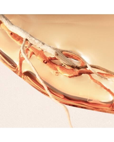 Hugo_Boss_BOSS_ALIVE_Intense_E-d-P-_visual3 Hugo Boss BOSS ALIVE Intense Eau de Parfum Spray