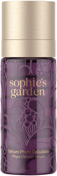 Sérum Phyto Cellulaire