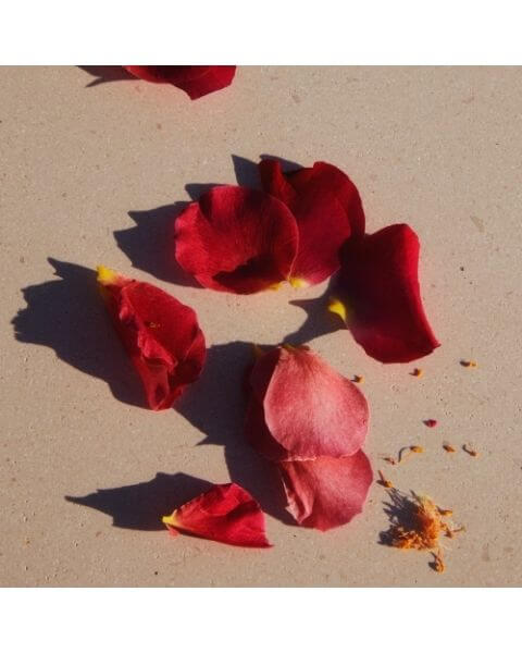 Jil_Sander_Sunset_Eau_de_Parfum_visual Jil Sander Sunset Eau de Parfum Spray