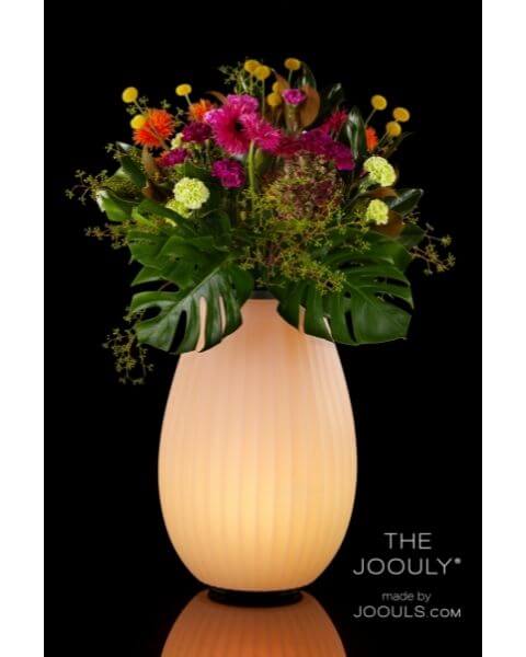 Joouls The JOOULY 35