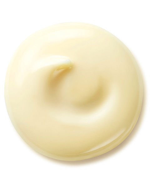 shiseido-benefiance-wrinkle-smoothing-day-cream-spf25-tagescreme-50ml-3 Benefiance Wrinkle Smoothing Day Cream SPF 25