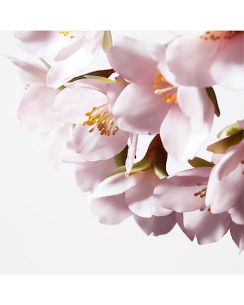 shiseido-white-lucent-illuminating-micro-s-serum-creative-packshot-4 Shiseido White Lucent Illuminating Micro-S Serum