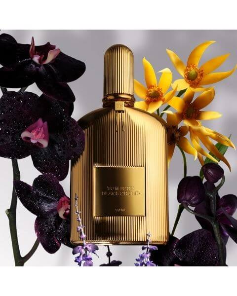 Tom_Ford_Black_Orchid_Parfum_50ml_Visual TOM FORD Signature Black Orchid Parfum